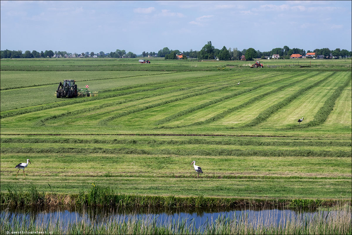 zuiderzeepad blokzijl kuinre lemmer