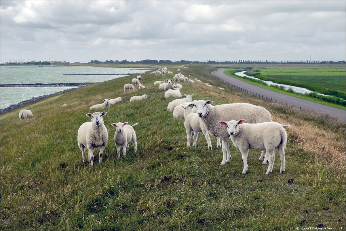 Zuiderzeepad: Lemmer - Stavoren