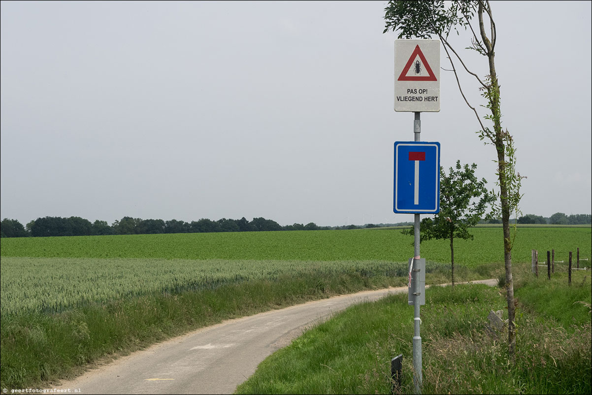 grenspad: Sittard - Brunssumerheide - Landgraaf