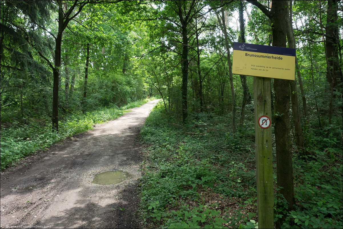 grenspad: Sittard - Brunssumerheide - Landgraaf