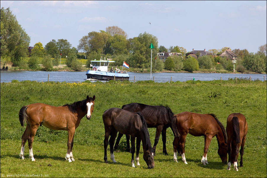 Kleine Veer