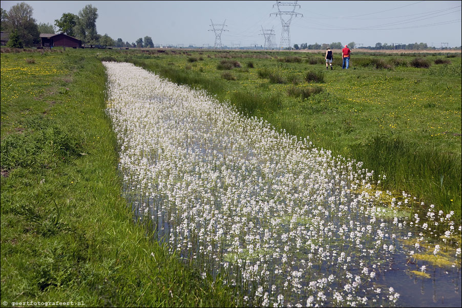 naardermeer