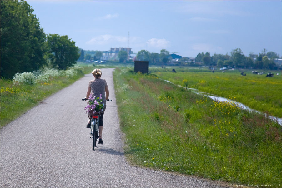 reaalspolderweg, weesp