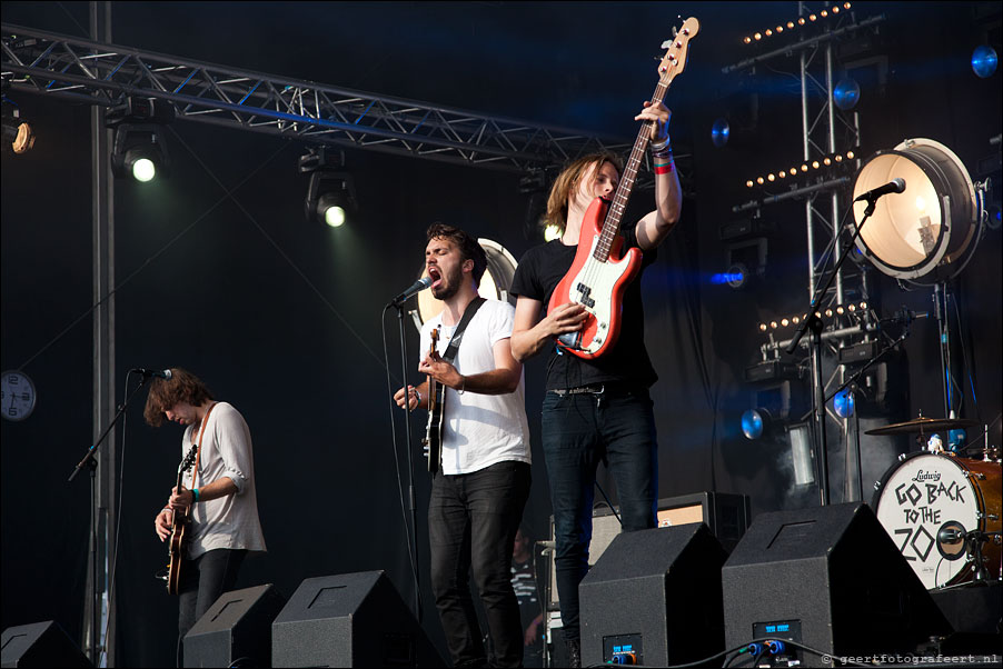 go back to the zoo - bevrijdingsfestival almere