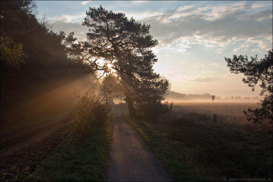 dwingelderveld