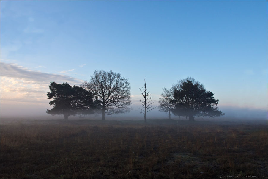 dwingelderveld