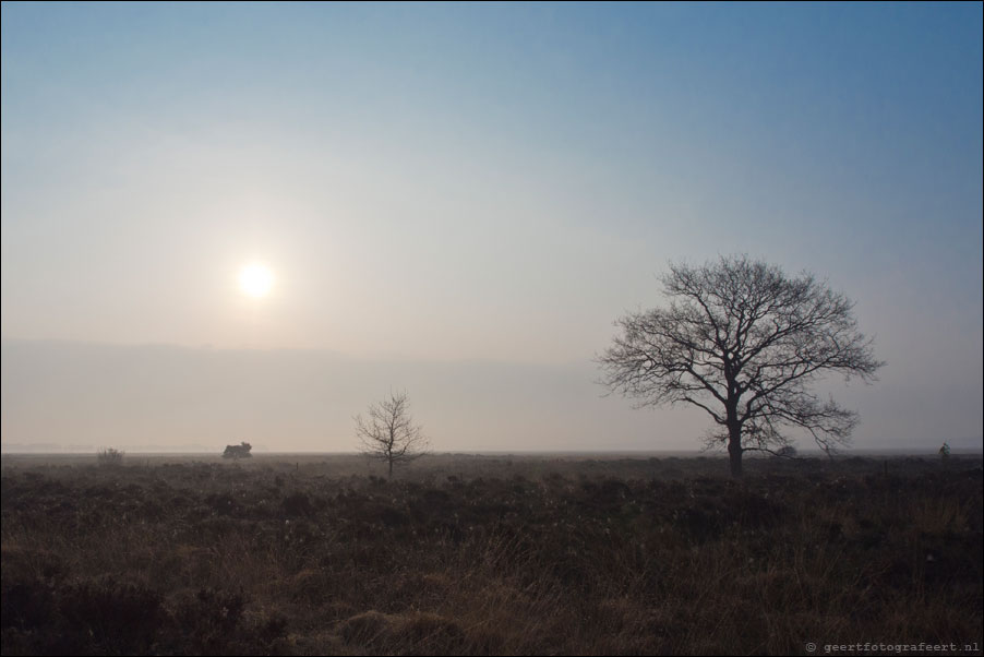 dwingelderveld