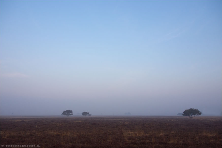 dwingelderveld