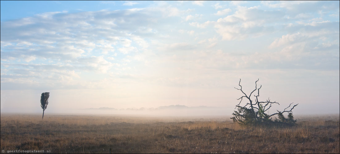 Dwingelderveld