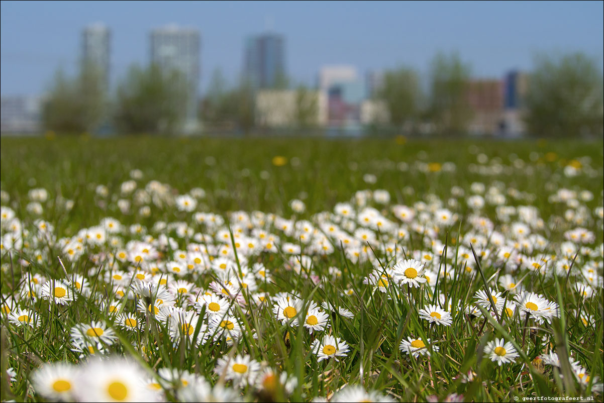 lente skyline almere