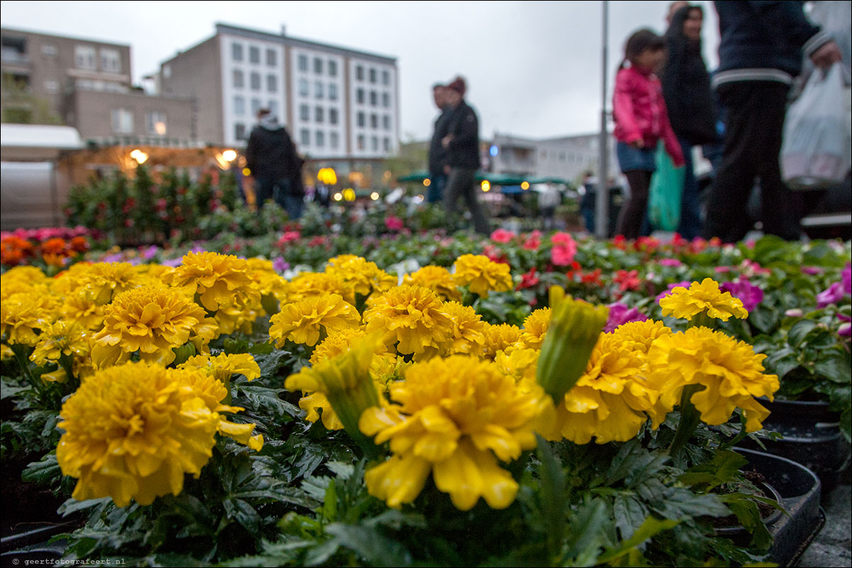 jaarmarkt luilak bloemenmarkt almer