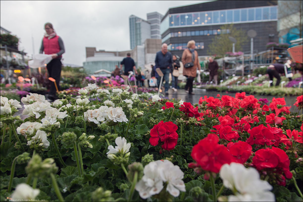 jaarmarkt luilak bloemenmarkt almer