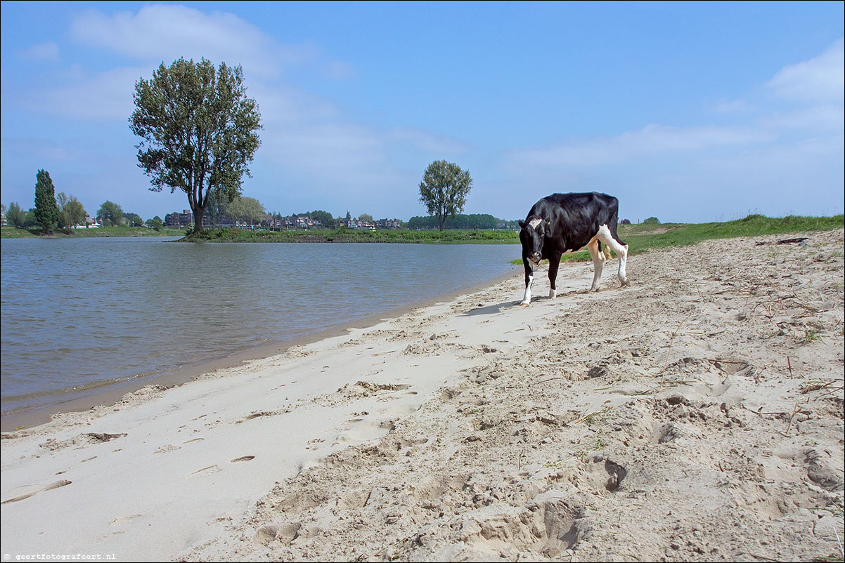 vianen rijndijk polder lek A2