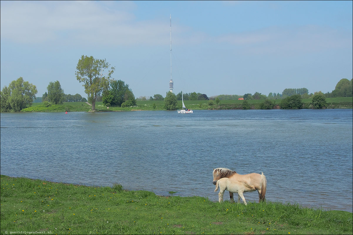 vianen lopik tv-toren middelwaard