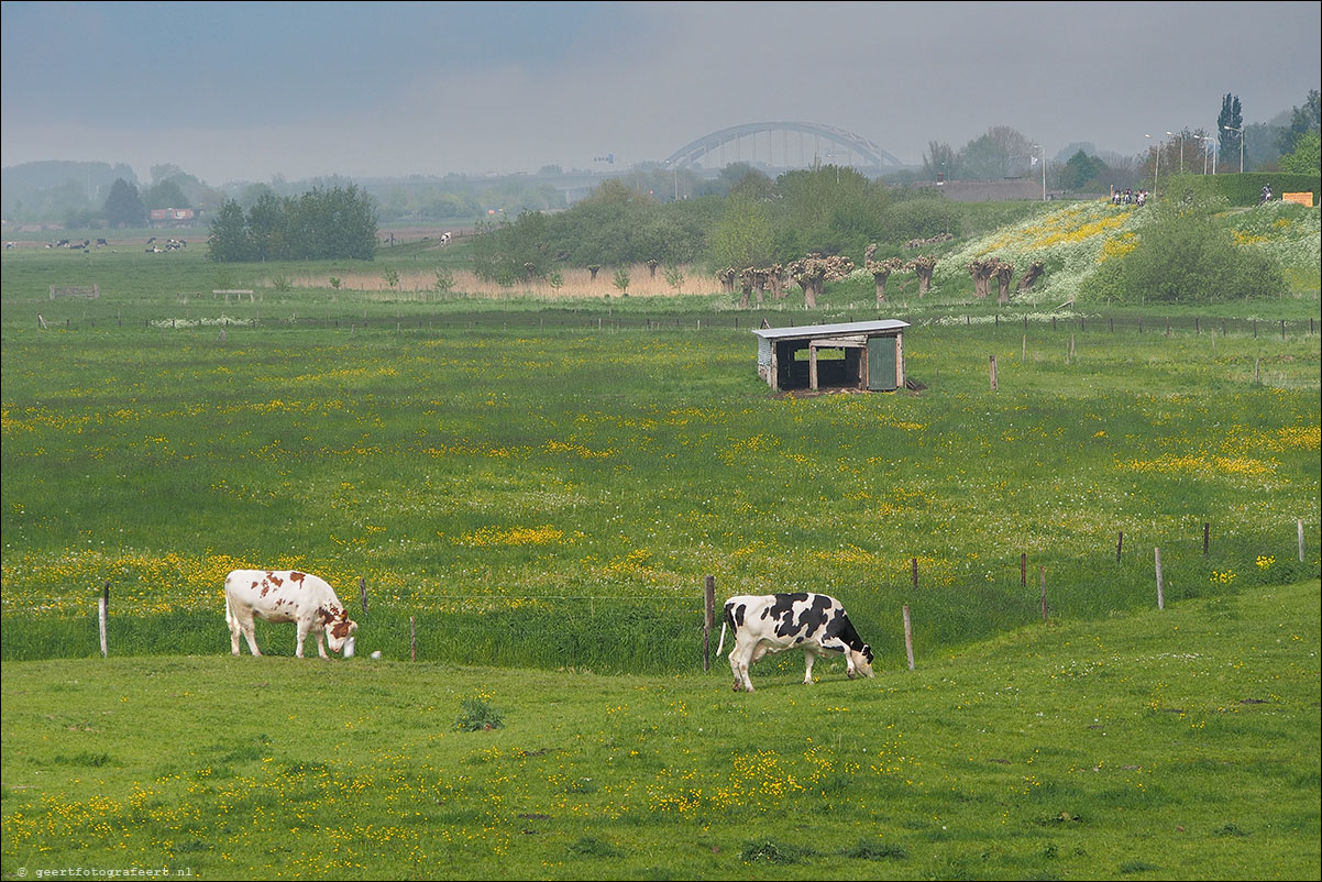 lexmond middelwaard