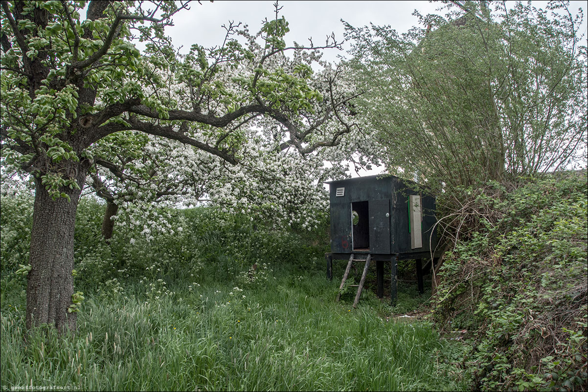 boomgaard hok, beesd