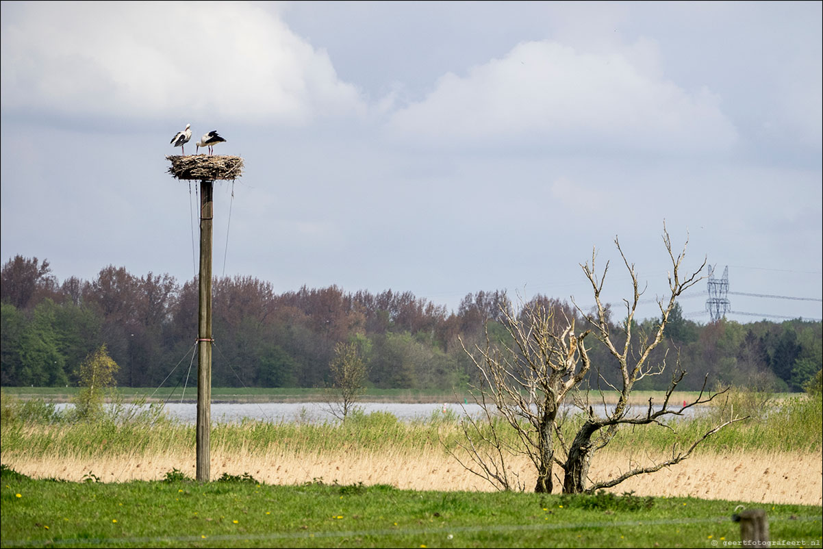 zuiderzeepad elburg kampen