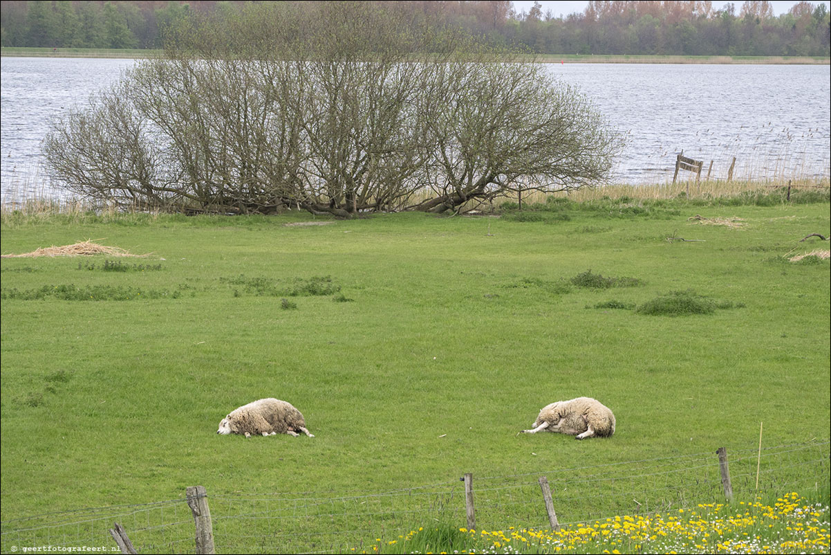 zuiderzeepad elburg kampen