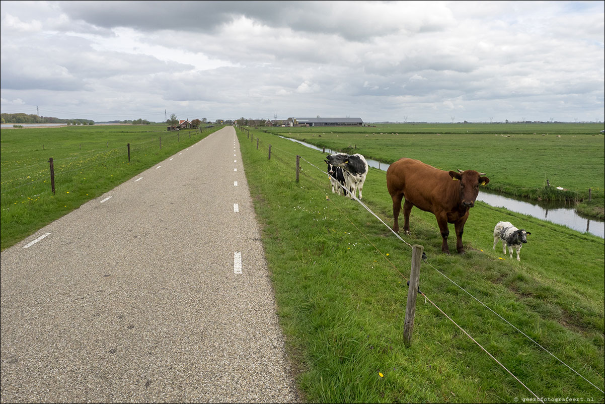 zuiderzeepad elburg kampen