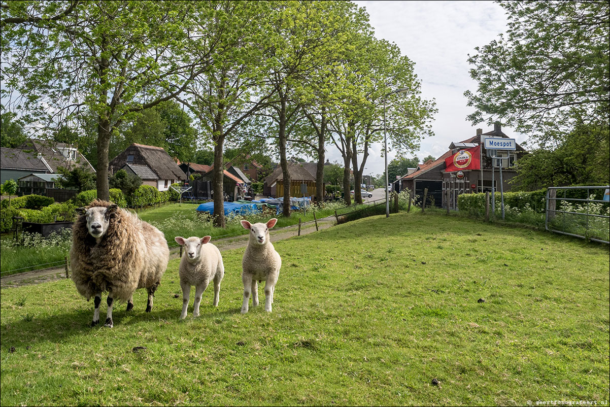 Zuiderzeepad Genemuiden Vollenhove Blokzijl