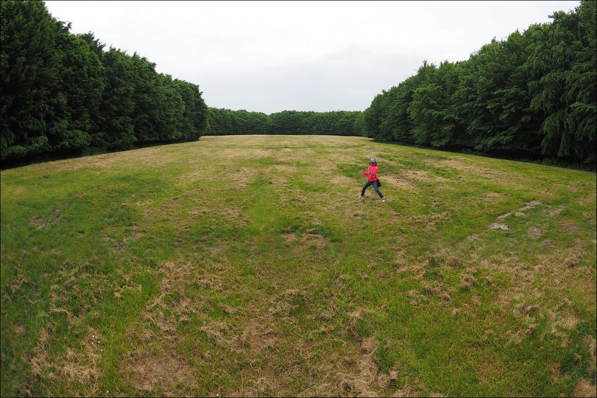 Land Art Flevoland: De Groene Kathedraal (1996), Marinus Boezem. 