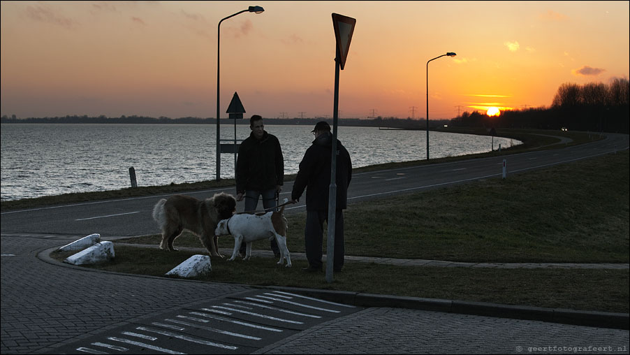 dogtalk on the dyke