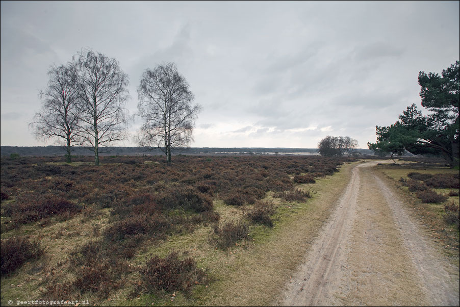 zuiderheide