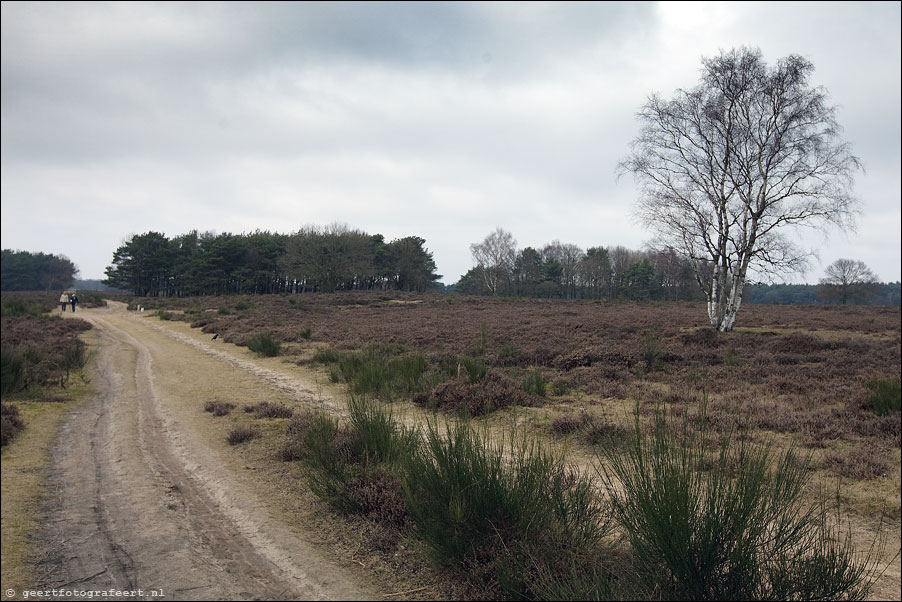 bussummerheide