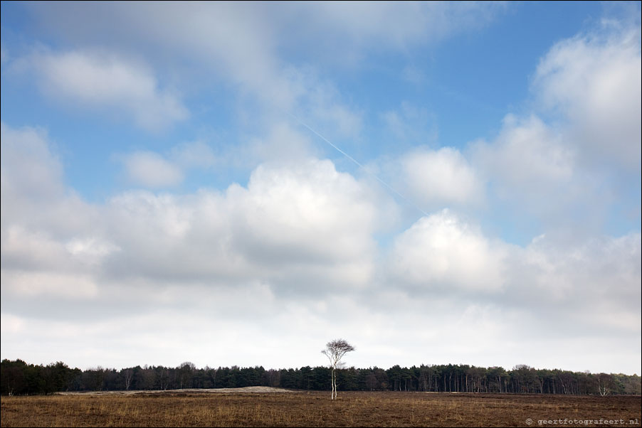 bussummerheide