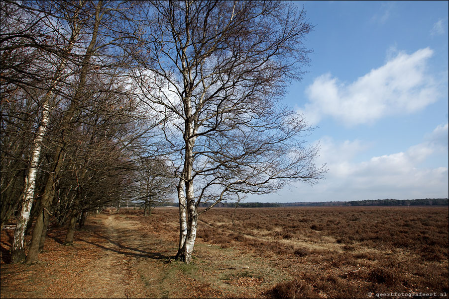 bussummerheide