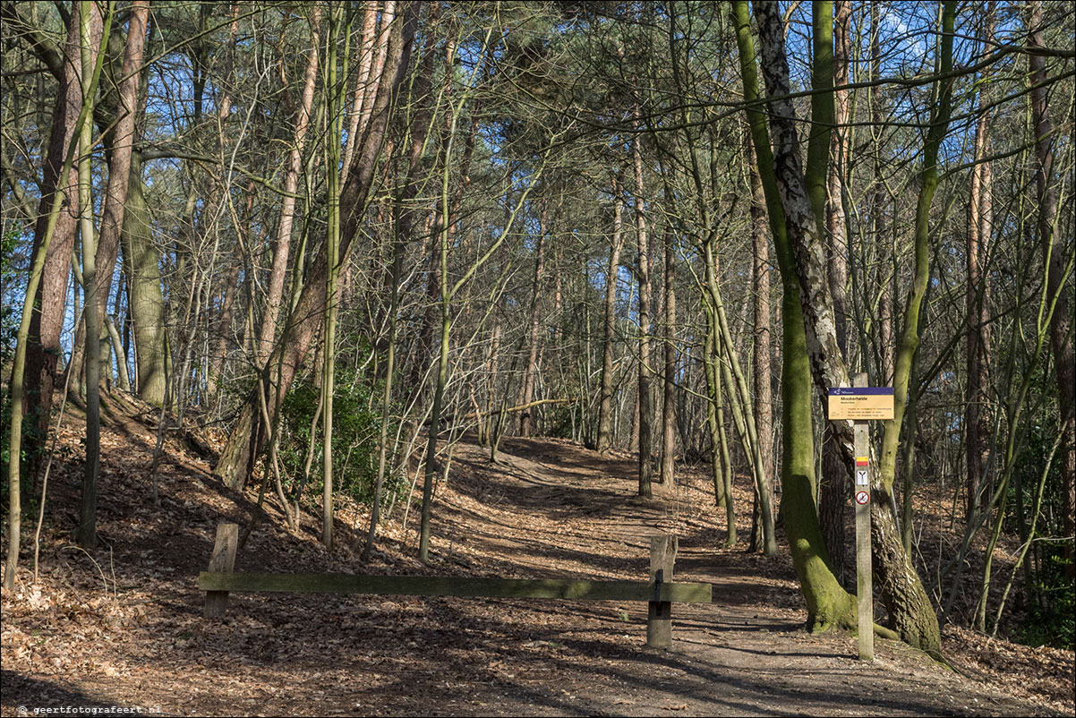 Grenspad: Mook - Vierlingsbeek - Pieterpad etappes