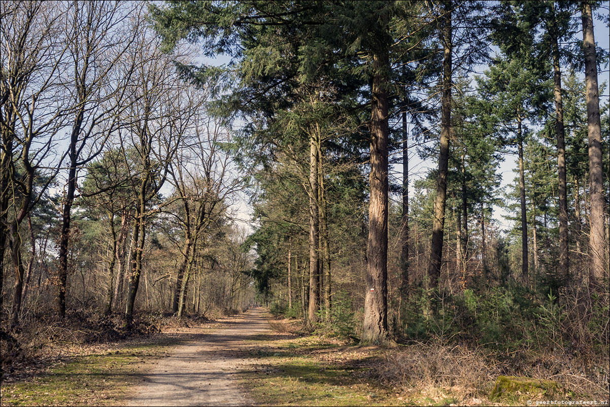 Grenspad: Mook - Vierlingsbeek - Pieterpad etappes