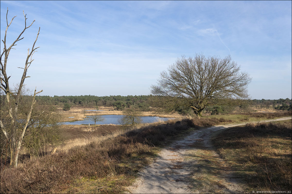 Grenspad: Mook - Vierlingsbeek - Pieterpad etappes