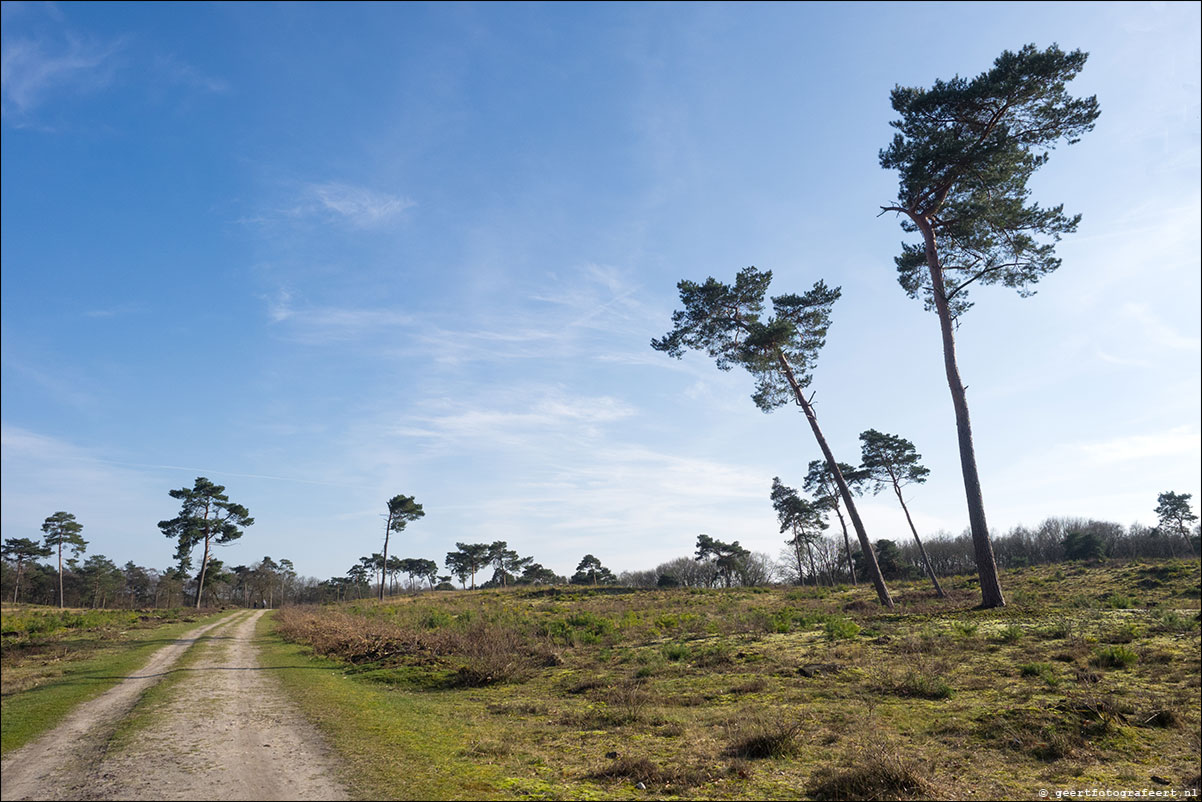 Grenspad: Mook - Vierlingsbeek - Pieterpad etappes