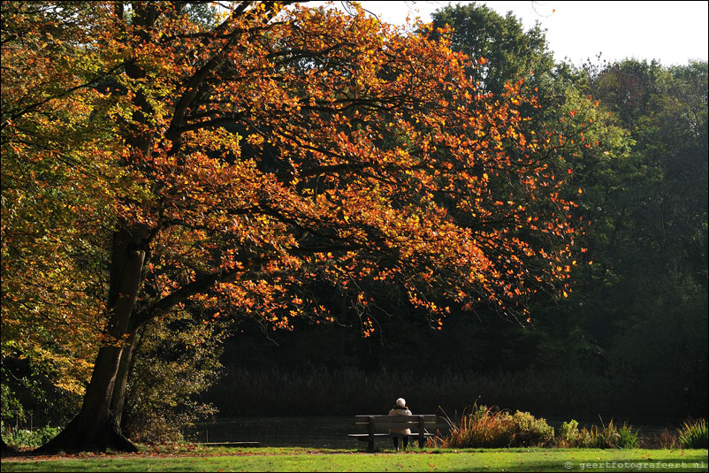 leidsche hout