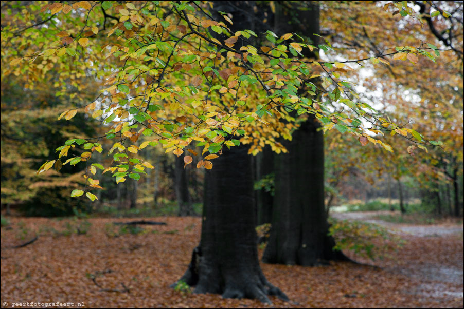 Landgoed Schaep en Burgh