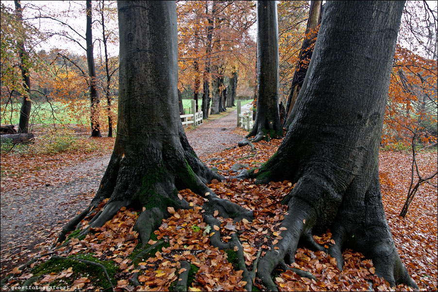 Landgoed Schaep en Burgh