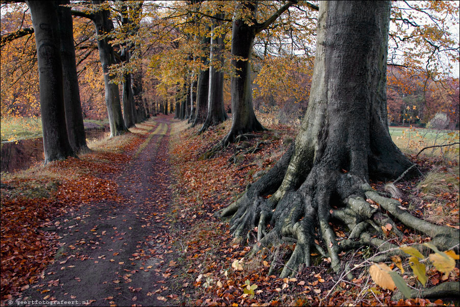 landgoed Spanderswoud