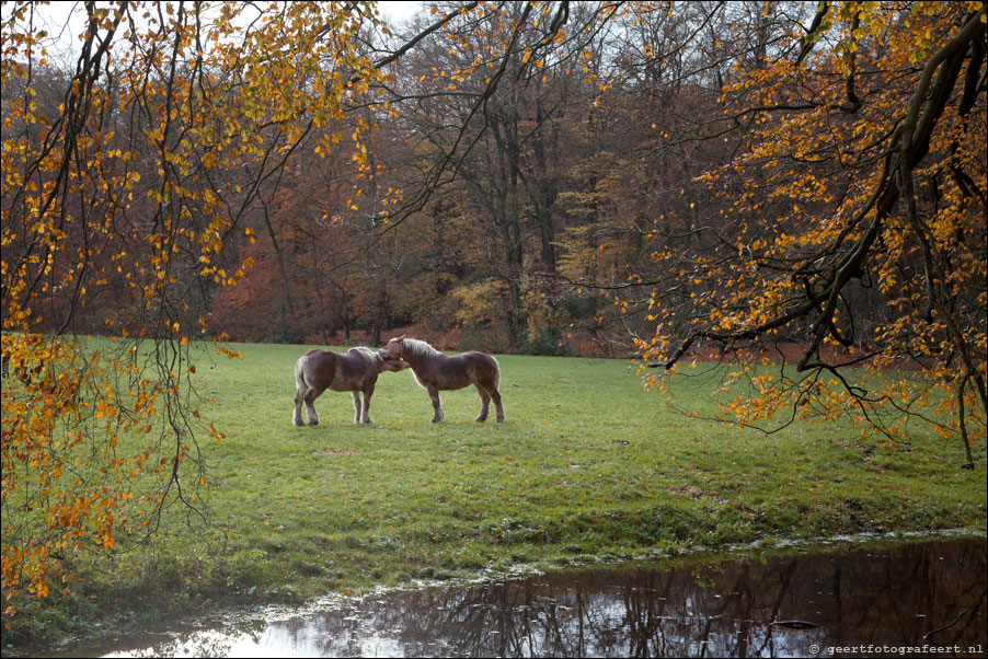 landgoed Spanderswoud