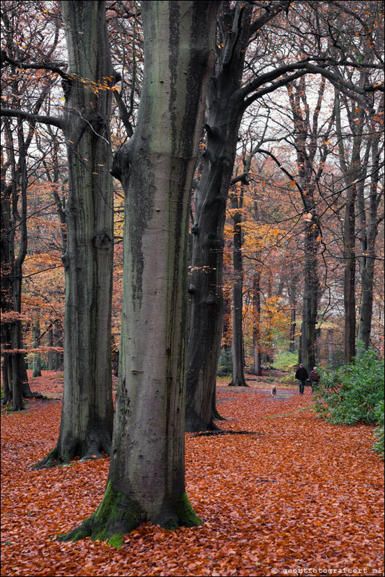 landgoed Spanderswoud