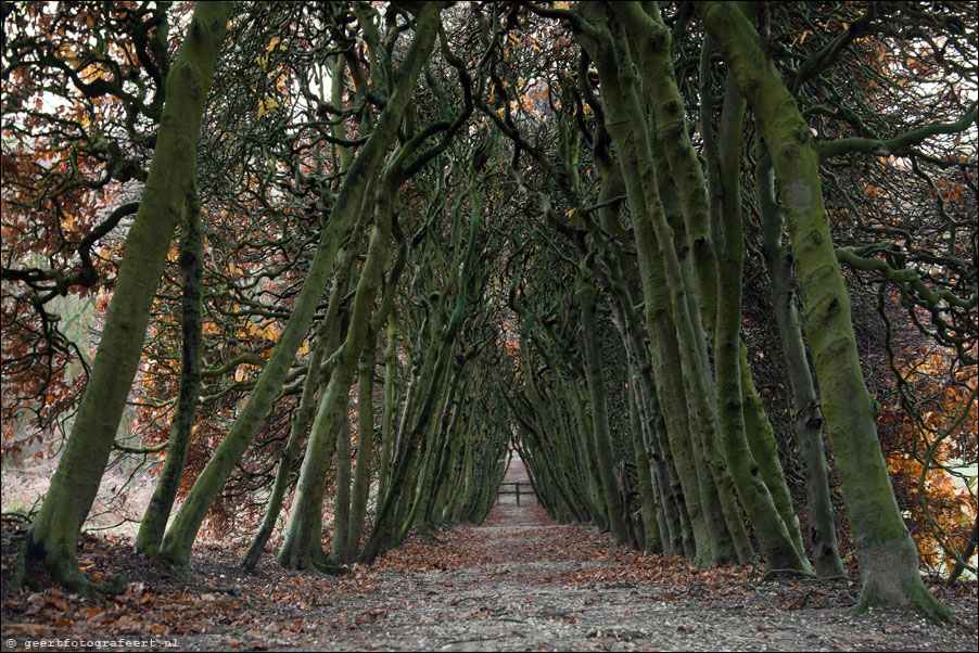 groene bedstee, mariendaal