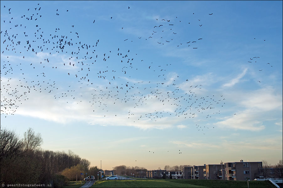 almere haven