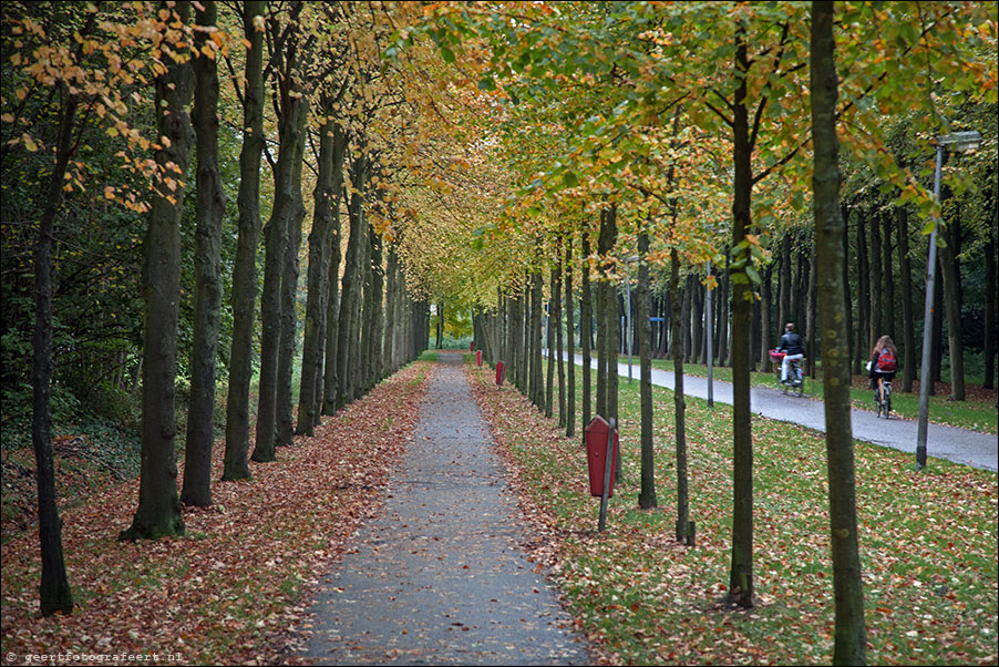 rijen, lumierepark, almere