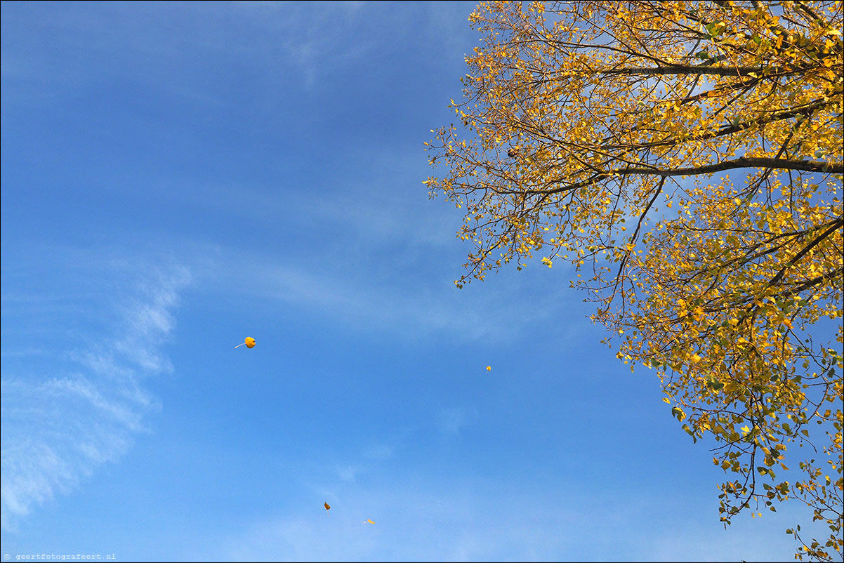 kleurtjes