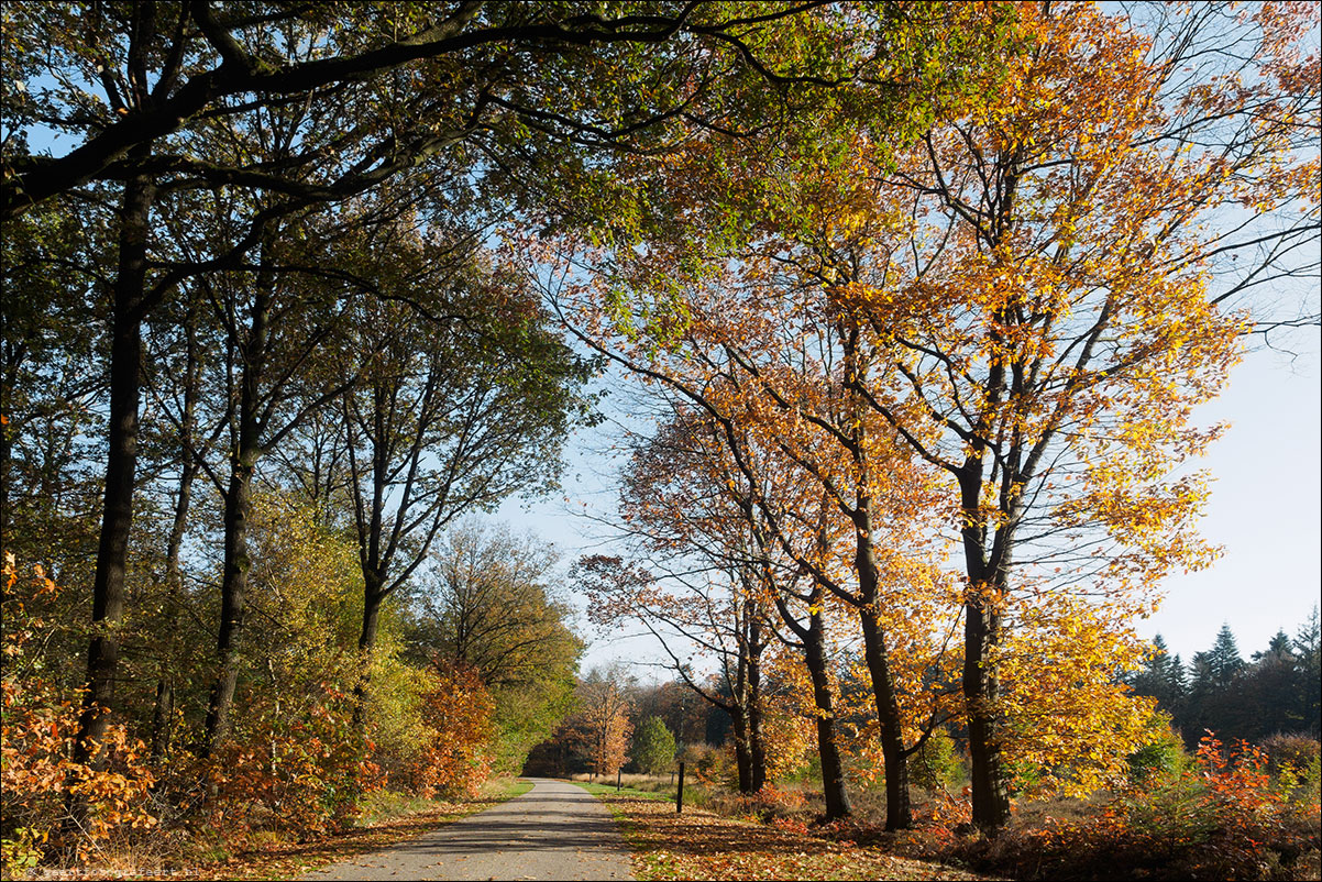 Westerborkpad: Beilen - Hooghalen - Kamp Westerbork