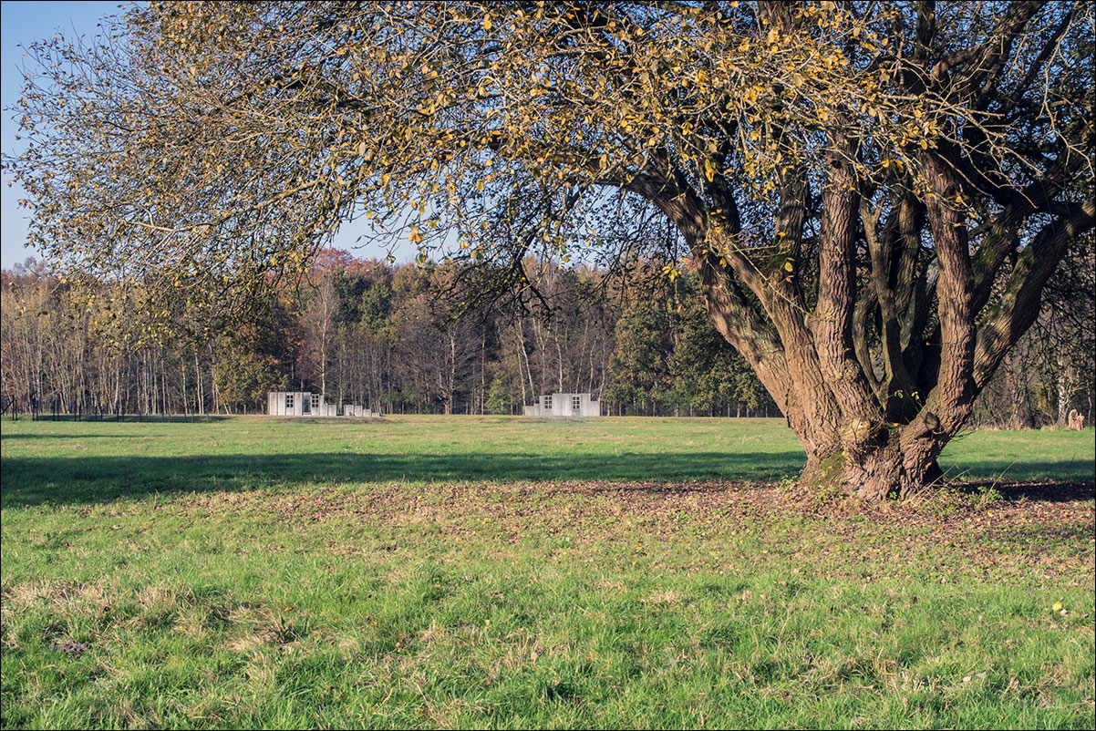 Westerborkpad: Beilen - Hooghalen - Kamp Westerbork