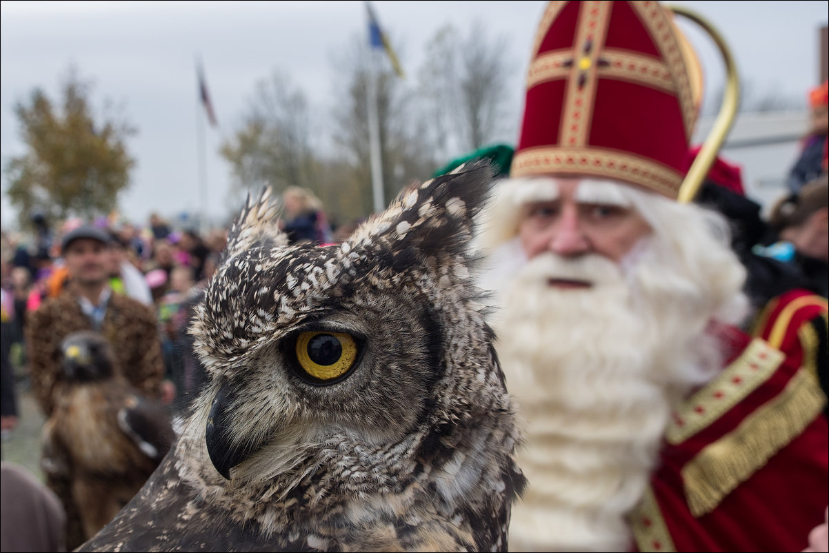 intocht sinterklaas in Almere