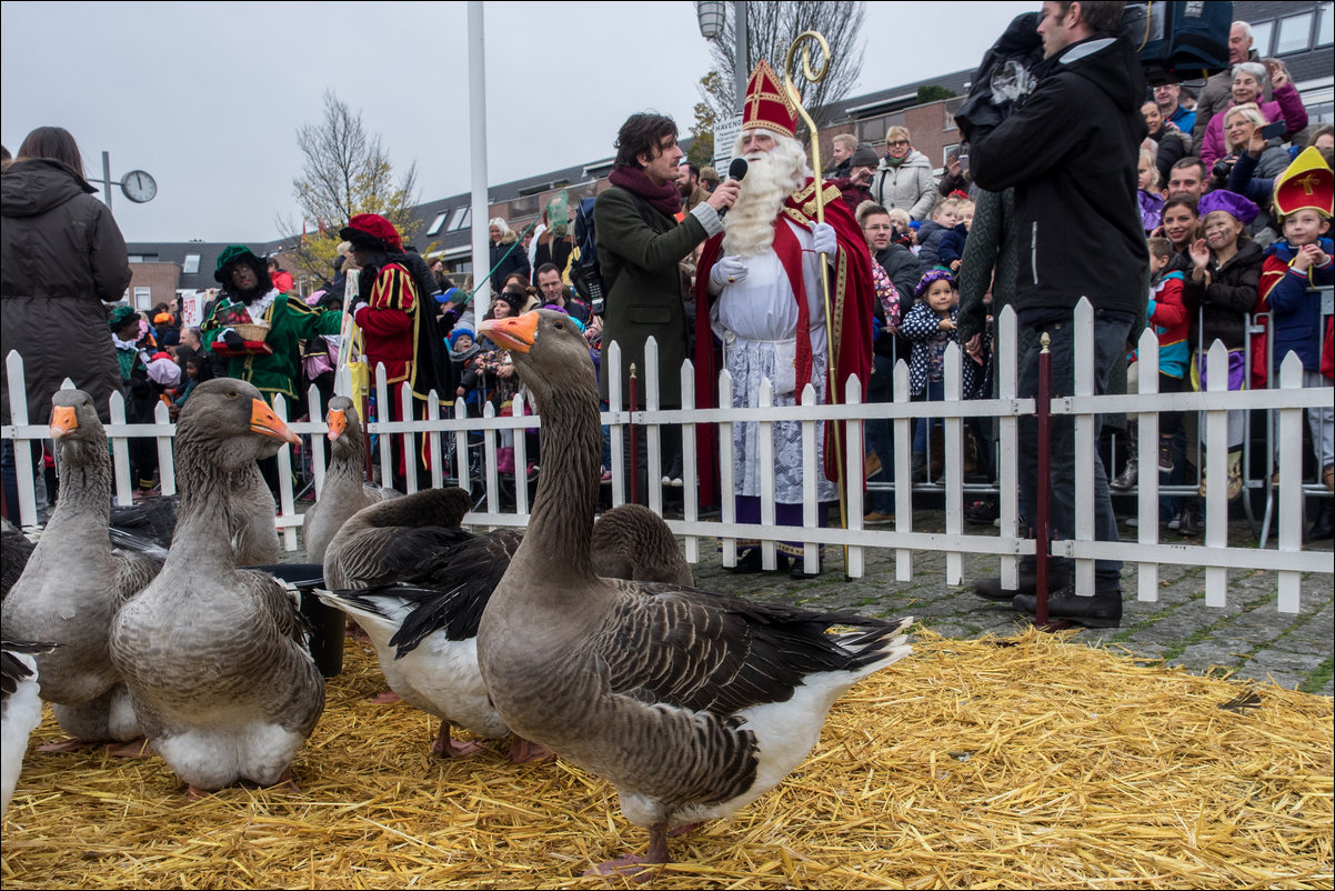 intocht sinterklaas in Almere