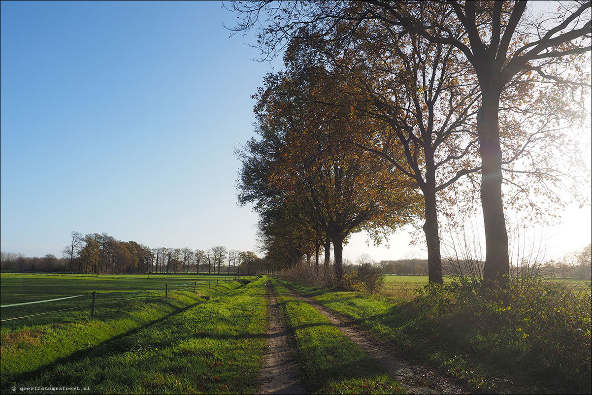 Grenspad: Ootmarsum - Oldenzaal / Twentepad