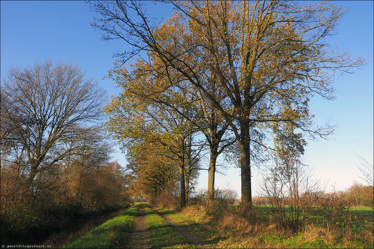 Grenspad: Ootmarsum - Oldenzaal / Twentepad